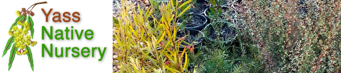 Yass Native Nursery